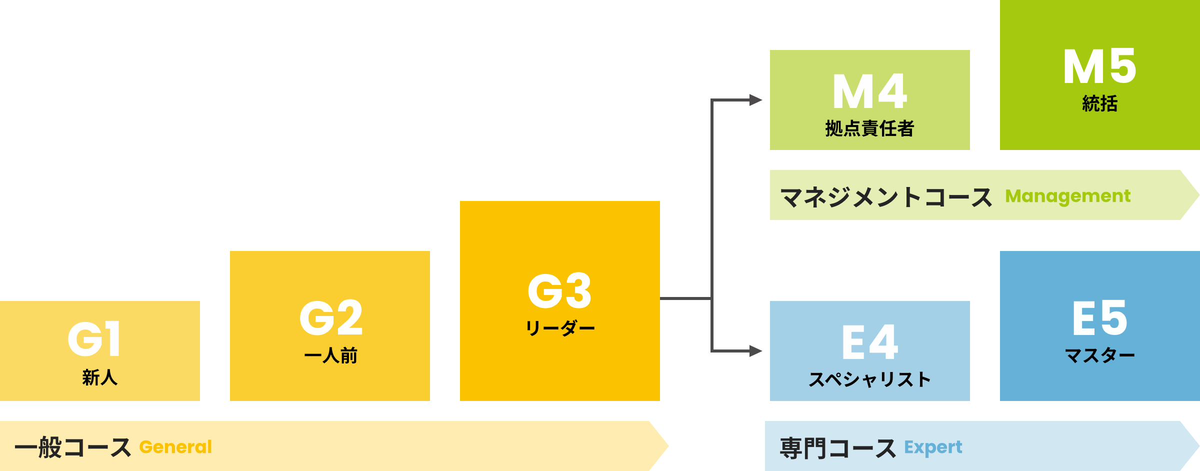人事制度図